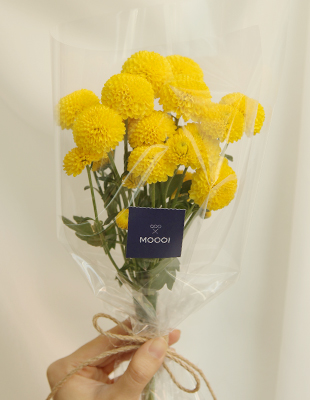 Simply MOOOI(퐁퐁)