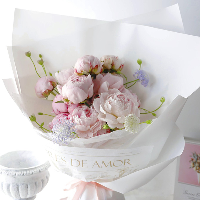 피오니블룸에디션